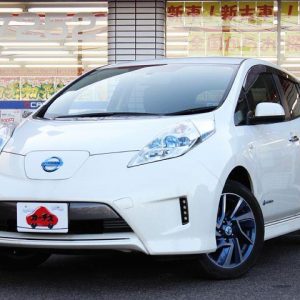 NISSAN LEAF (Stock #: DFQ6373)