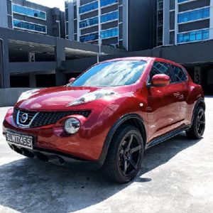 2013 NISSAN JUKE (Stock #: DFZ8687)