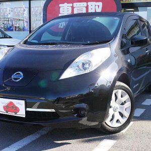 NISSAN LEAF (Stock #: DTD8595)
