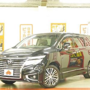 NISSAN ELGRAND (Stock #: DTW9725)