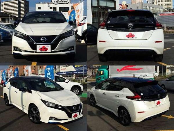 NISSAN LEAF (Stock #: DFJ7482) - Image 9