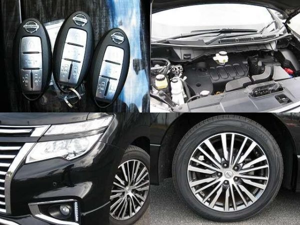 NISSAN ELGRAND (Stock #: DHM4967) - Image 7